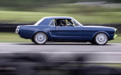 Five Owners, Five Stories: 1st Generation Panel Discussion