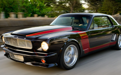 Chris Slee, Kiwi Classics and Customs Interview