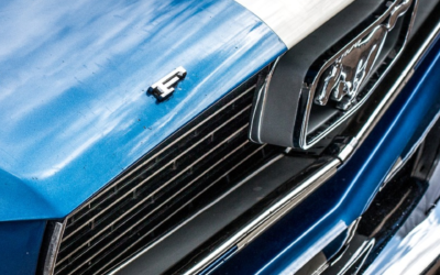 Mike Rey, 2015 Mustang and GT350 Launch Team Member and President of MOCSEM