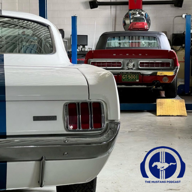 A Focus on Quality, Alf’s Mustang Garage