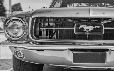 Lost Mustang 167, The Secret Journey to Finland