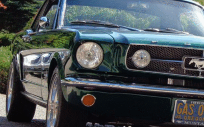 A 40 Year Project, Josh Reiter Interview