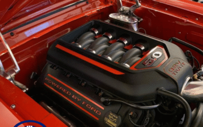 A Coyote in Pony Clothing, Chris Boswell Interview