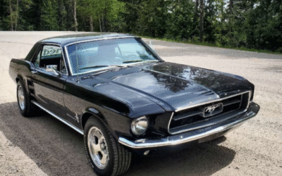 A Mustang for the Wedding, Jonathan Burke Interview