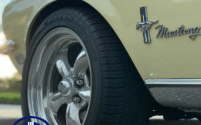 A One Man Shop Loyal to The Brand, Dave Taylor Interview