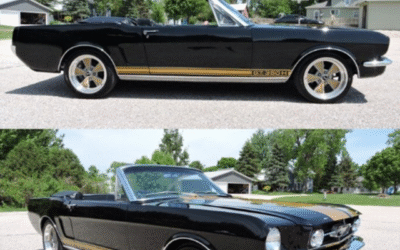 A Pony Trifecta: Fastback, Convertible, Coupe