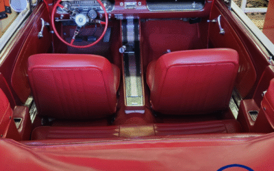 A Tale of Two Mustangs