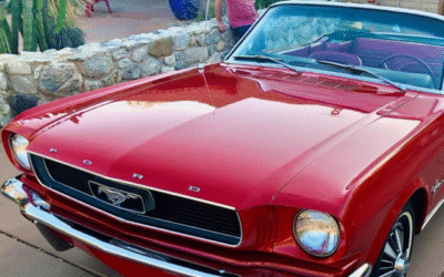 Being Lawless Never Felt This Good, Patrick Lawless Interview