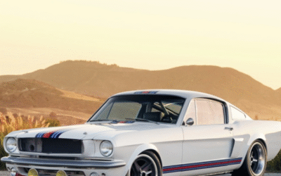 Brand Builder for Saleen Automotive, West Coast Customs and Shelby, Amy Boylan Interview