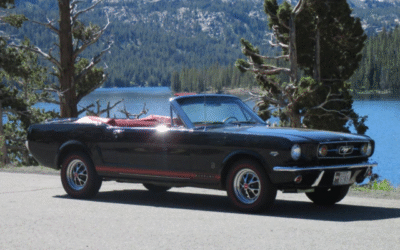 Chapters 1 and 2 Original 1st Generation Mustang Owners Series