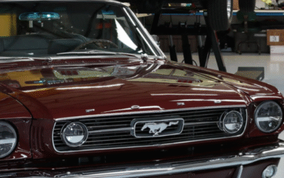 Ep 100: Bringing Quality to Market, Michael Chance Interview