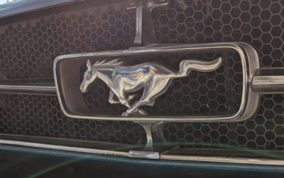 Fastback to the Future, Denise Shaffer Interview