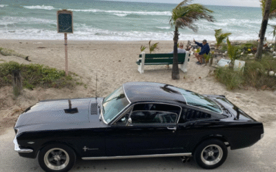 Find a Fastback in Five Steps, Rob Staple Interview