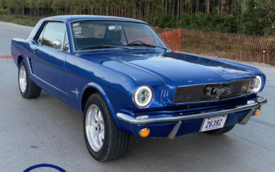 From Pig Farmer to Pony Lover, Nestor Chaves Interview