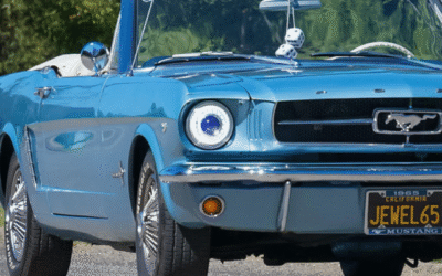 Fuel, Air, Spark, Compression, Timing