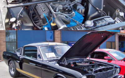 Hertz Promo Mustang, A 1966 GT350H Collectable, Jerry Healey Interview