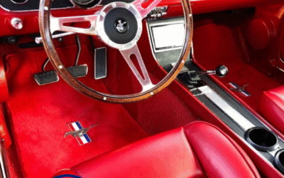 How Many Is Too Many Mustangs, John Dishong Interview