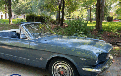 Joycelyn Armstrong, A Lifetime of Driving