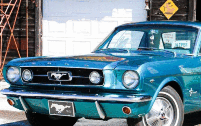 Matt Stone, Automotive Journalist, Author and Broadcaster, Interview