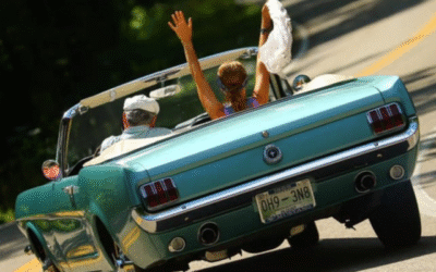 Most Popular Mustang Questions Answered by Chris “The Doc” Ingrassia