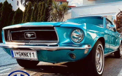 Mustang Muscle Car Buying and Selling Greg Payne Interview