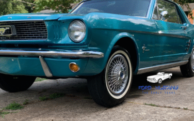 Mustangs are a Girl’s Best Friend, Interview with Lindsey Curcio