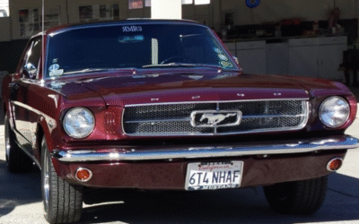 National Director of the Mustang Club of America, Robin Paulsell Interview