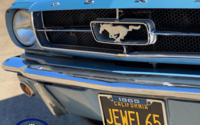 Of Jet Planes and Classic Mustangs Great and Small, Jonathan Campagna Interview