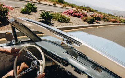 Powerhouse Mustang Lineup  John Clor, Mike Rey, Jimmy Dinsmore, Mustang Marie and Jim Chatas