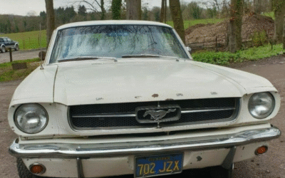 Survivor Series Part 1, Plain Jane and The Pony Across the Pond