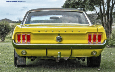 The Dream Job of a Lifetime