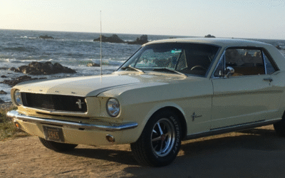 The Little Inline 6 That Could, Mark Carbonaro Interview