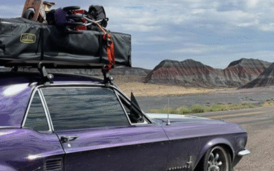 The Marvelous Wanderings of Adventurestang