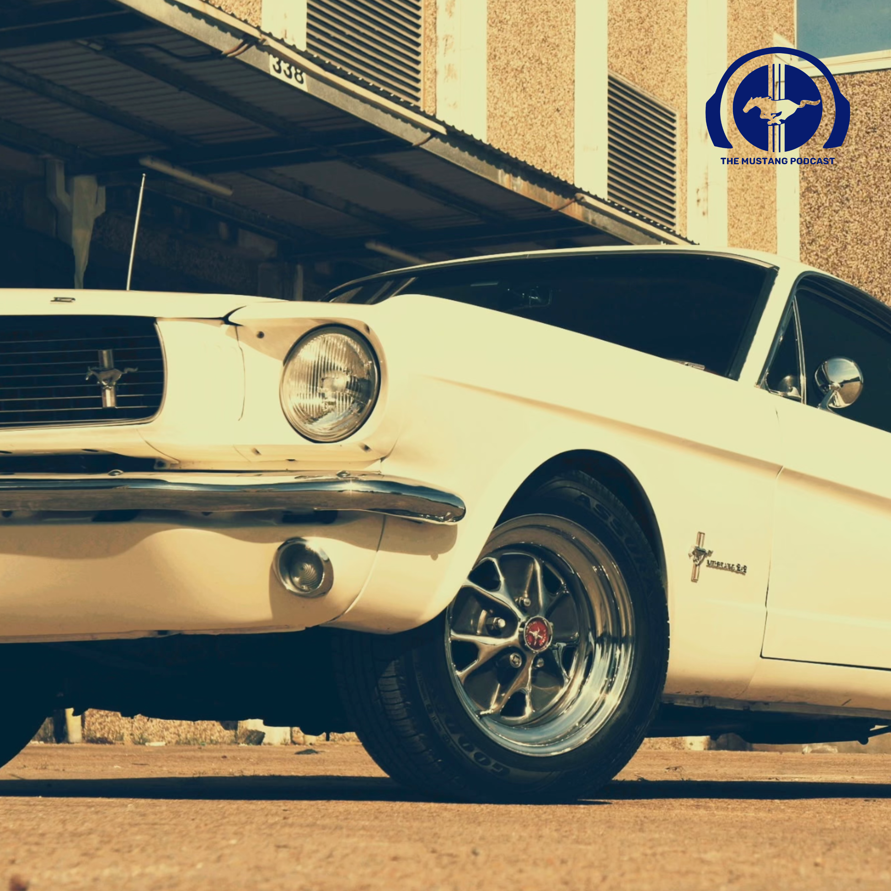 Three Builds, One Mustang, Vik Day Interview