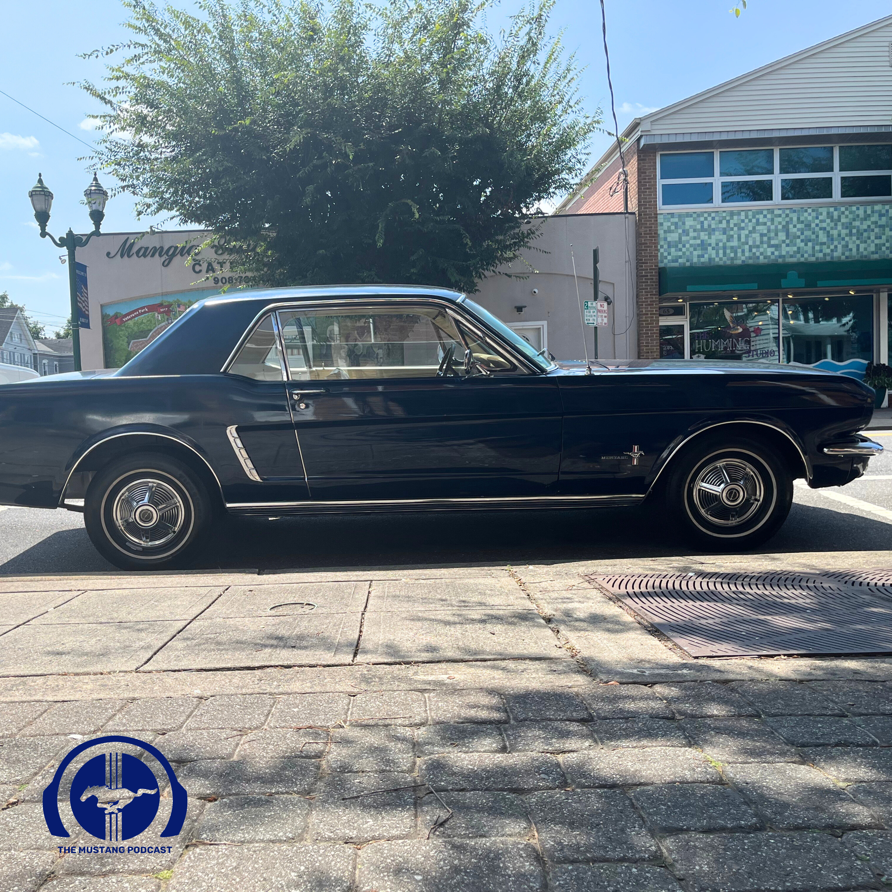 One Loyal Owner,  Two Classic Mustangs